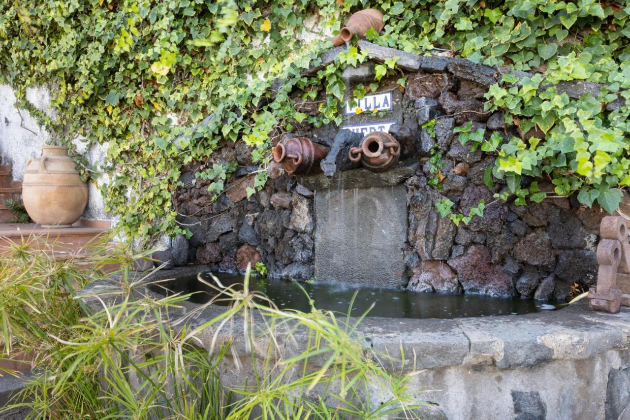 Finca Villa Huerta Icod De Los Vinos Exteriér fotografie